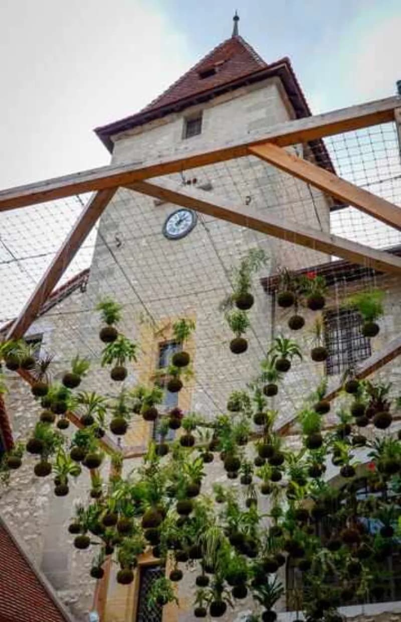 Озеленяване на покриви